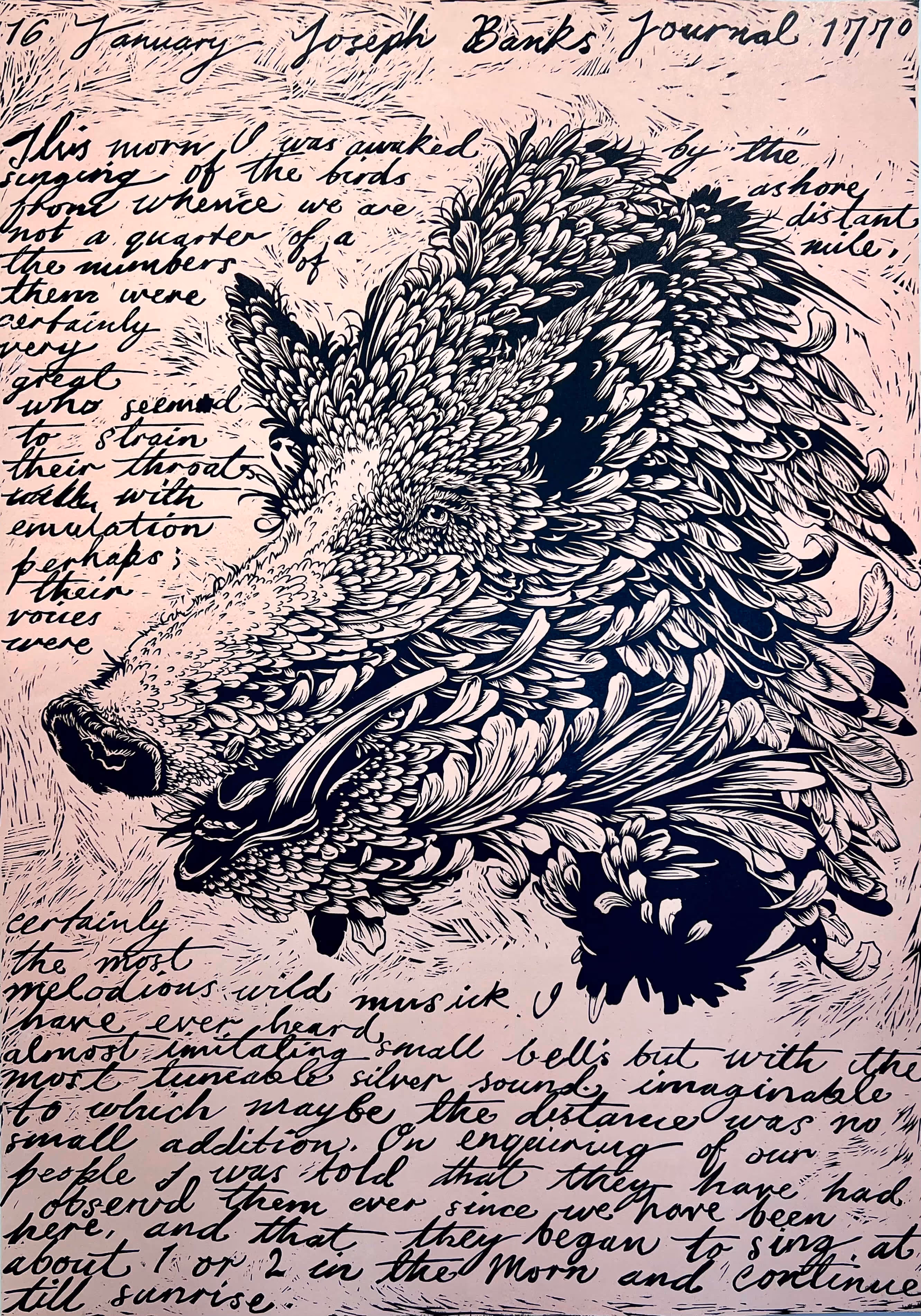 Intricate illustration of a wild boar made up of detailed feather-like shapes with handwritten text in the background titled 'January Joseph Banks Journal 1770.'