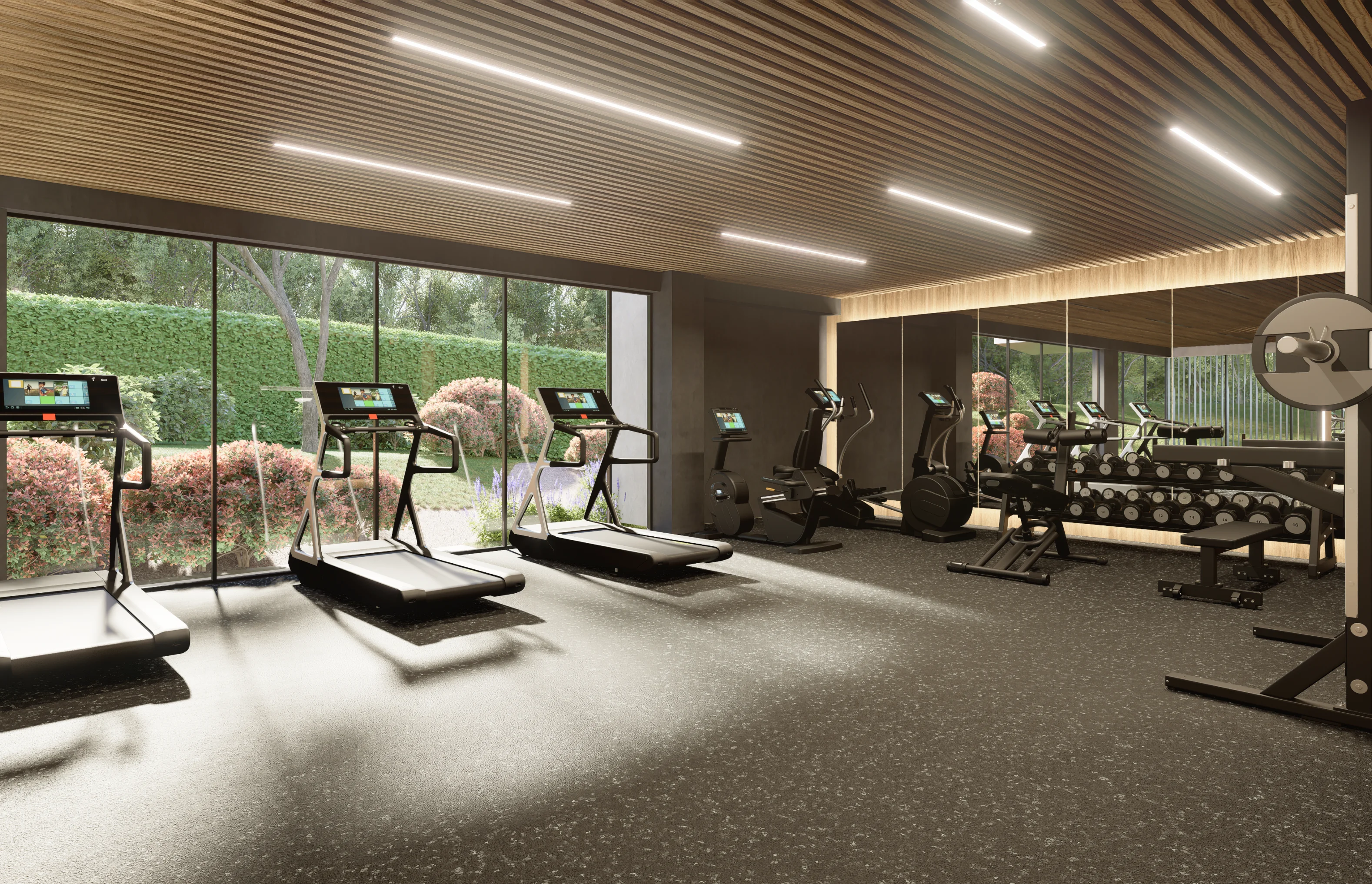 gym