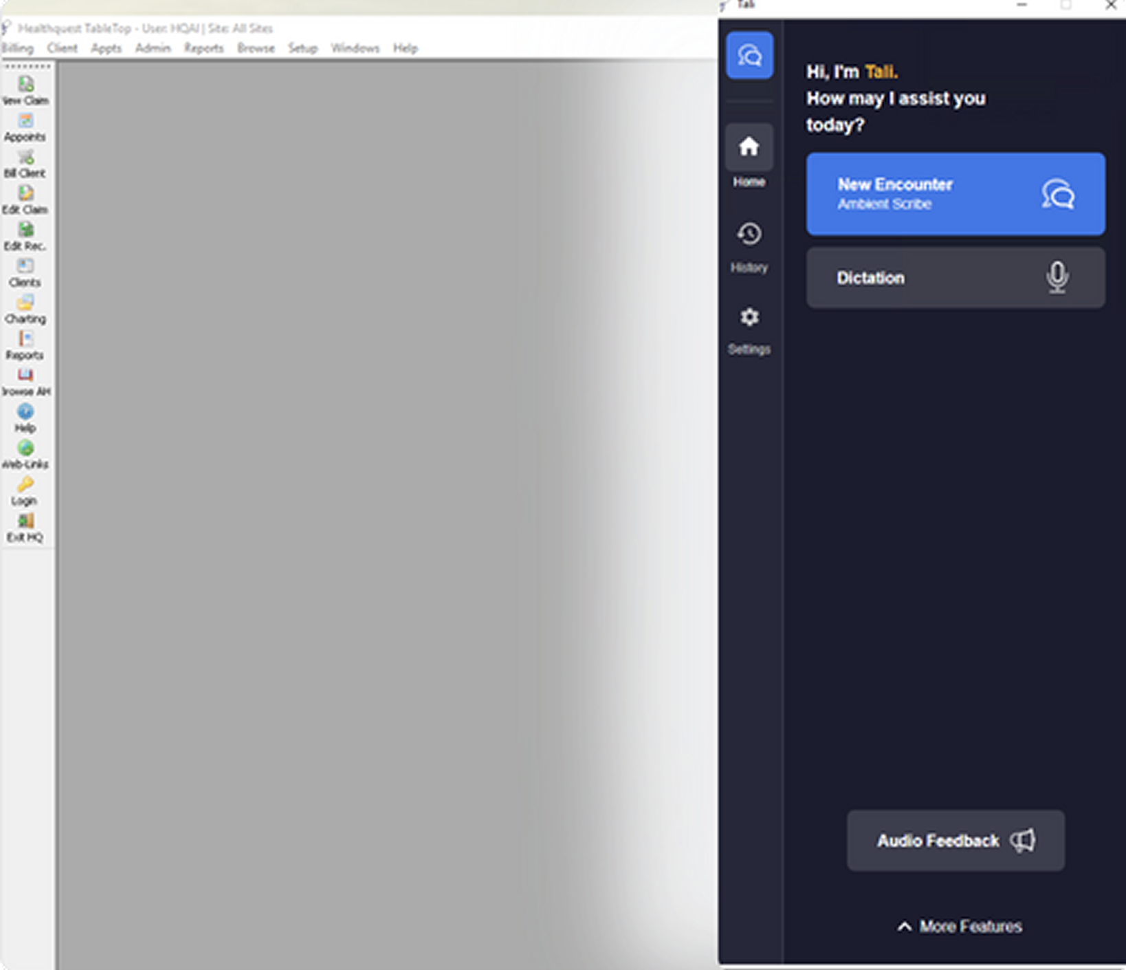 Healthquest EMR interface with Tali sidebar widget open showing new encounter and dictation options