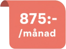 875 kr per månad