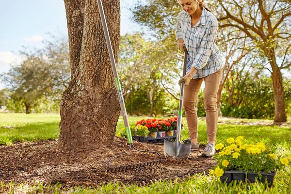Woman planting flowers beneath a tree, with a shovel, rake, and trays of colorful plants nearby.