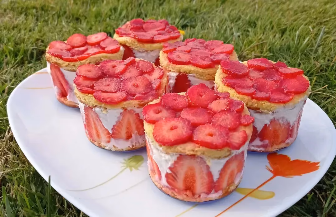 Sur un large plat ovale blanc, sont disposés six petits fraisiers. Des fraises découpées en fines rondelles sont réparties sur le dessus.