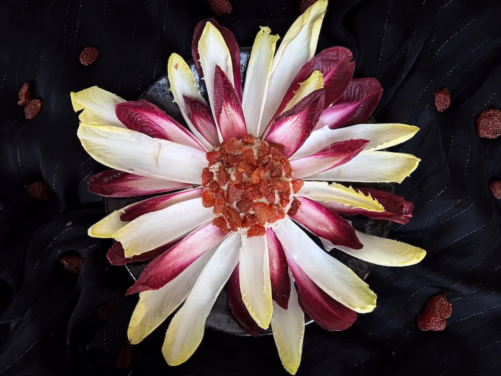 Les endives disposées en étoile font penser à une fleur avec au centre la préparation au thon décorée de cranberries.