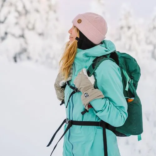 Arctic House Safaris