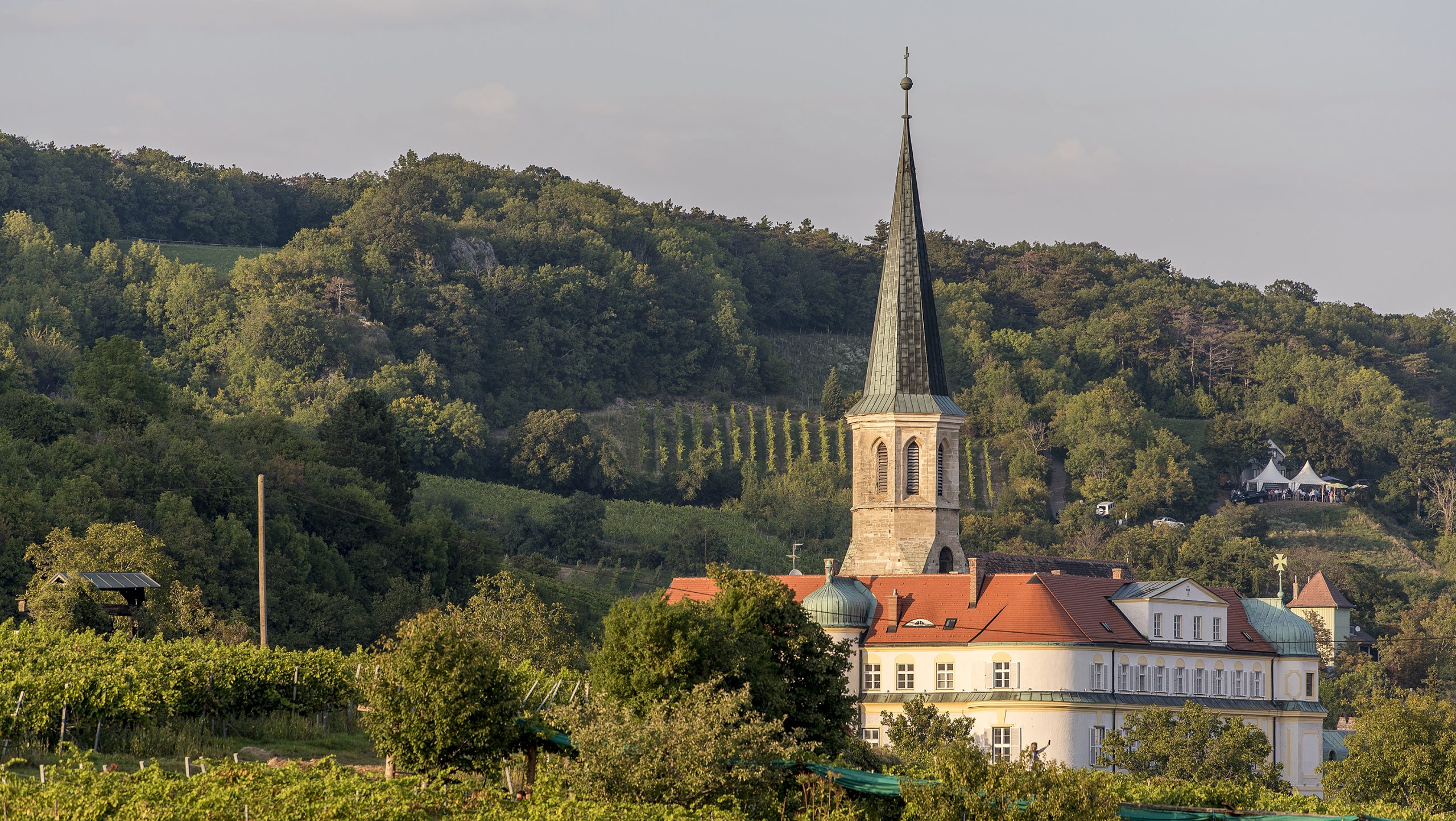 Spumante Rosè Pinot Noir - Gustav Krug