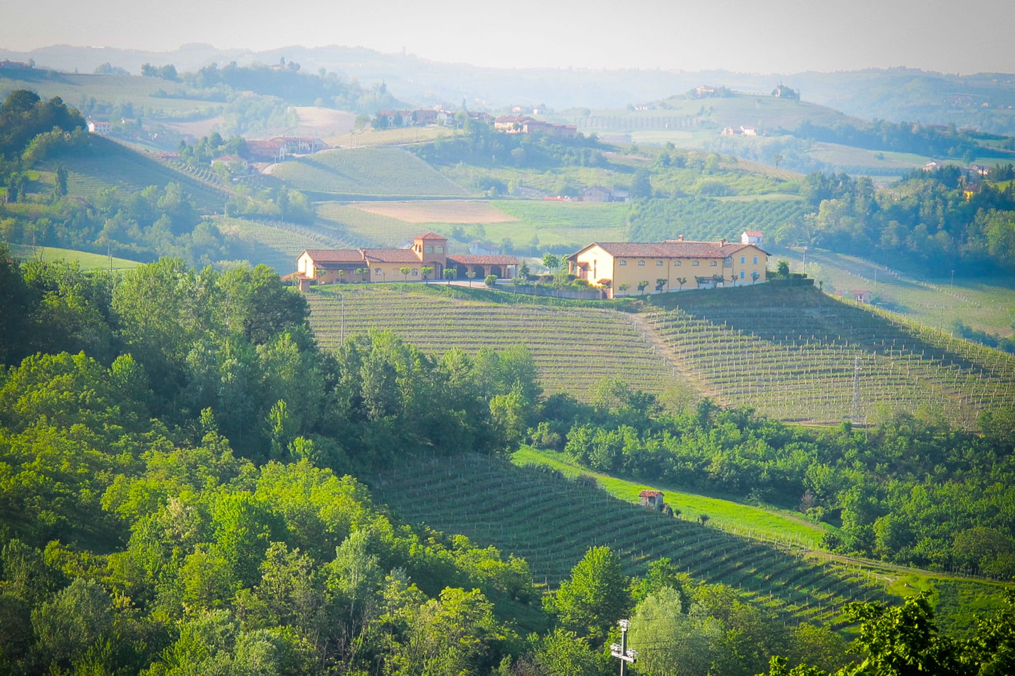 Barolo - Tenuta Rocca
