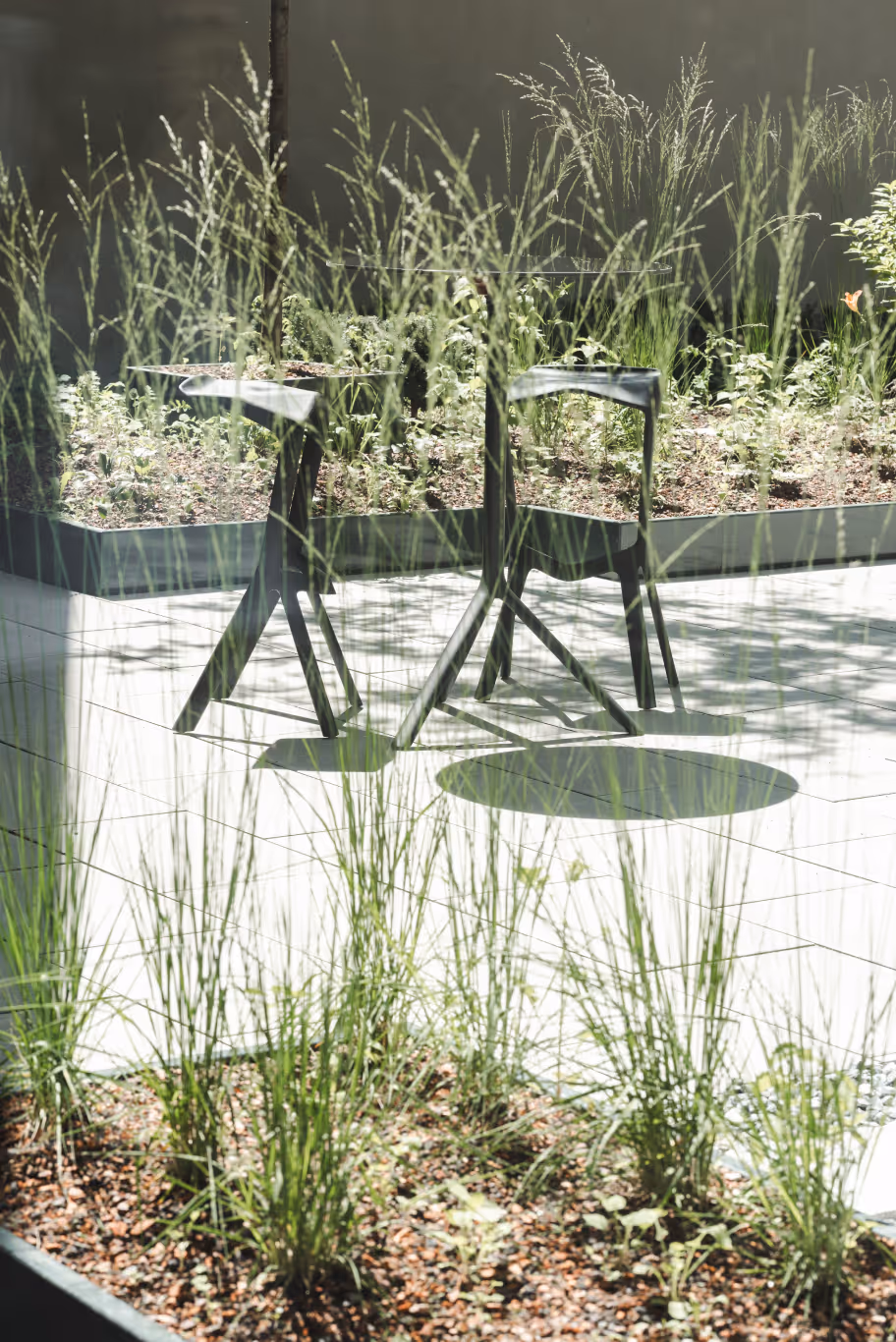 Moderner Außenbereich mit Glasscheibentisch und zwei schwarzen Stühlen, umgeben von hohem Gras und Pflanzen.