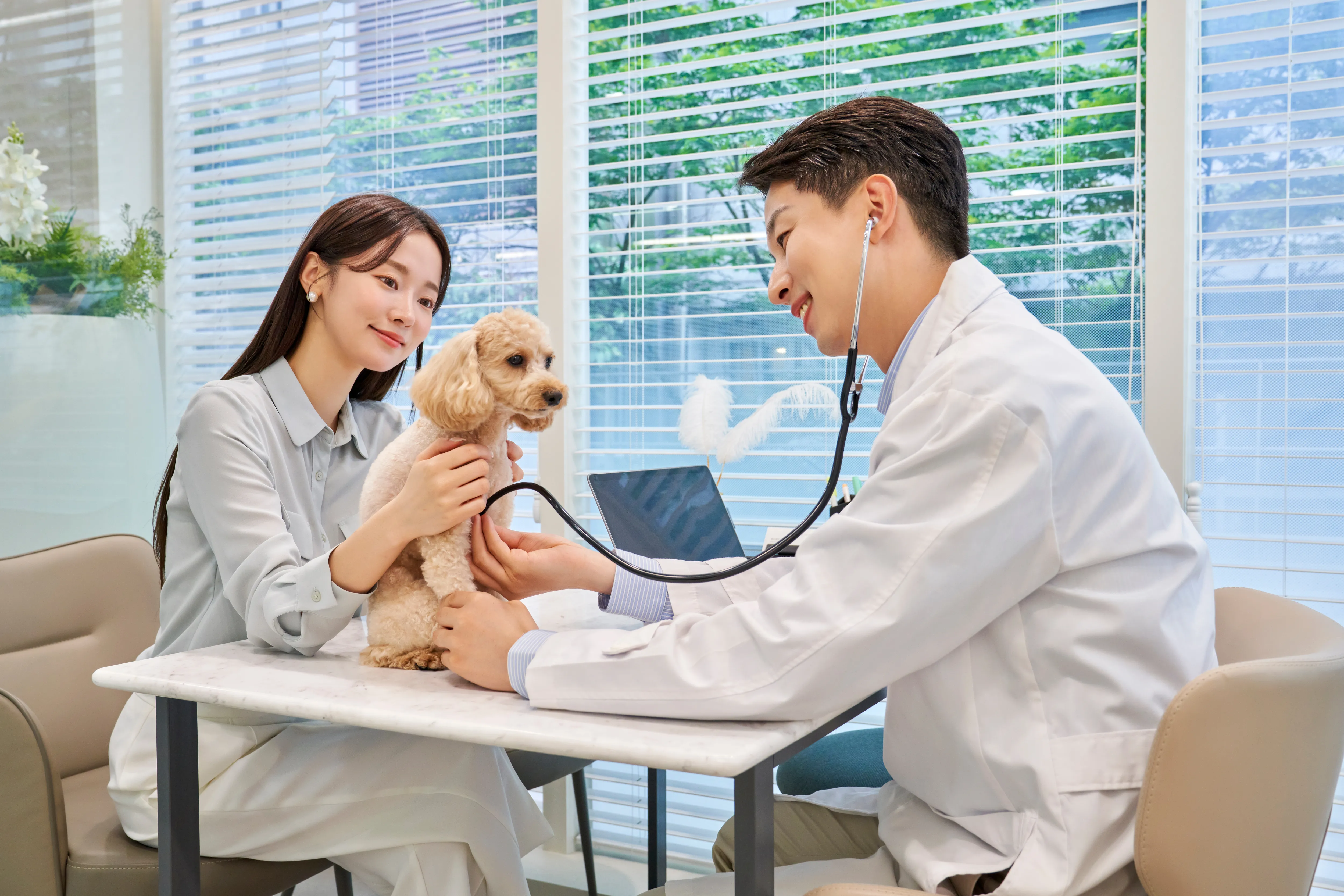 獣医が聴診器を使って犬の健康を診察し、飼い主が犬を優しく抱いている様子。