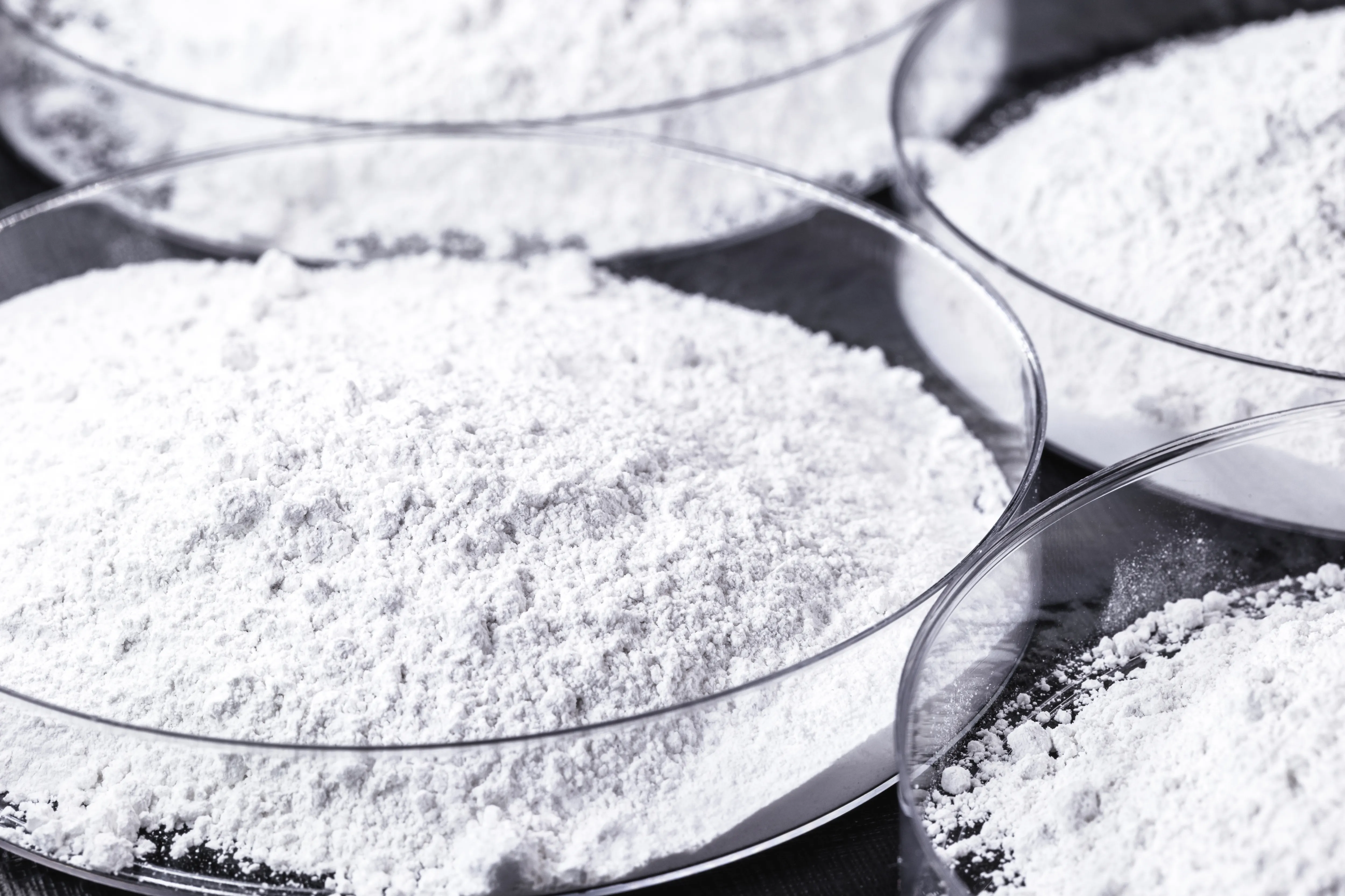 透明なシャーレに入った細かい白い粉末のクローズアップ写真。