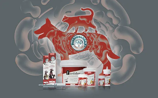 Original process microbiote chien canine