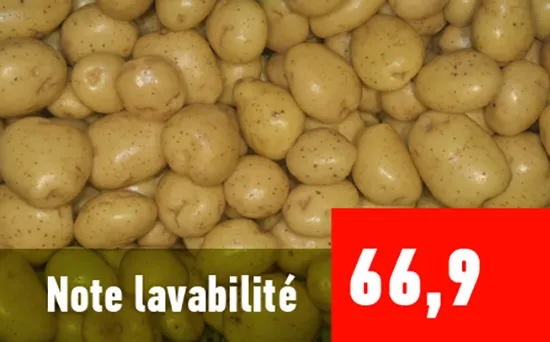  Floravit® : augmentation de la lavabilité à la récolte pommes de terre