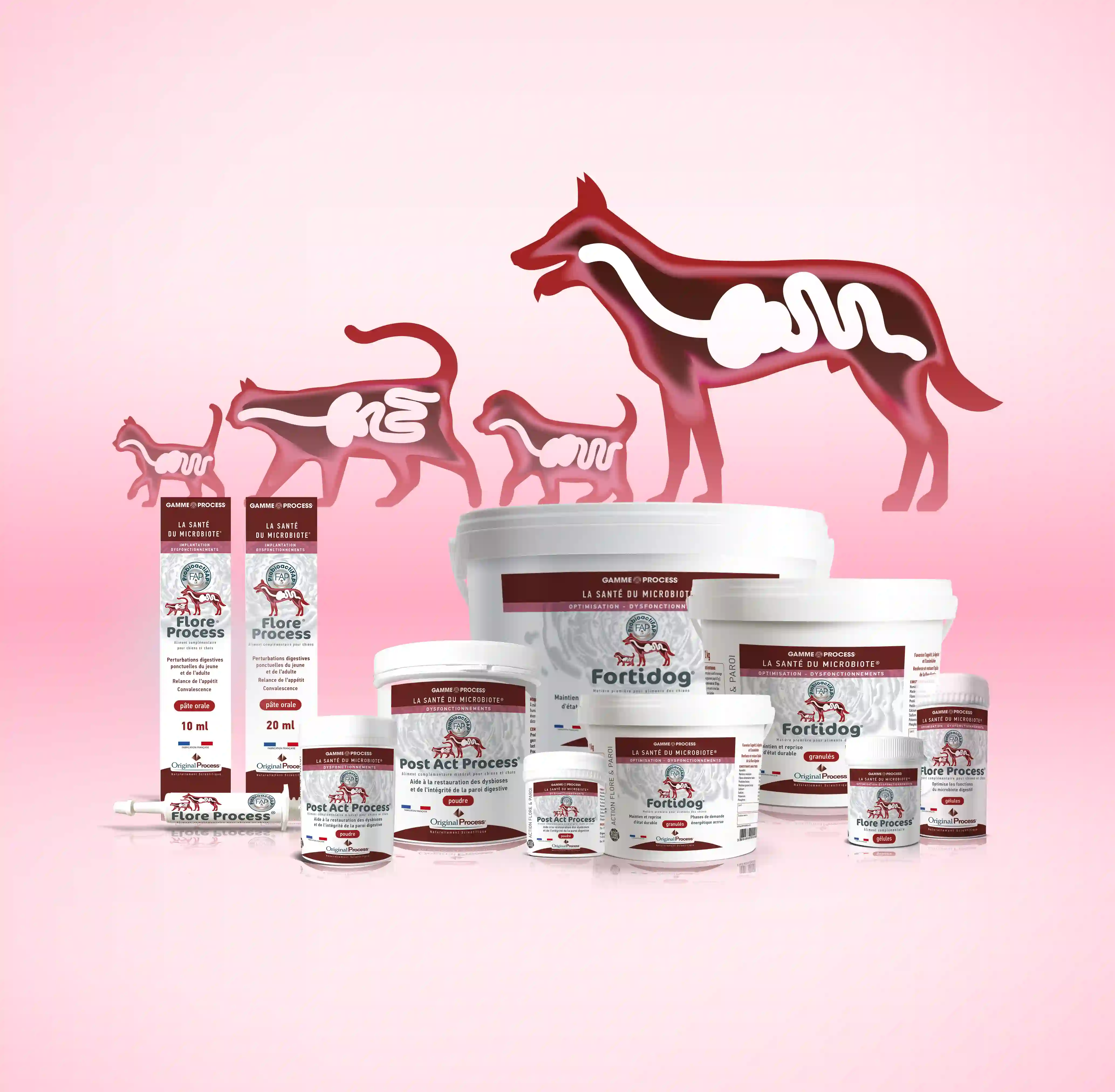 Produits pour la santé digestive des chiens et chats avec illustrations de leurs systèmes digestifs microbiote gamme PROCESS canine