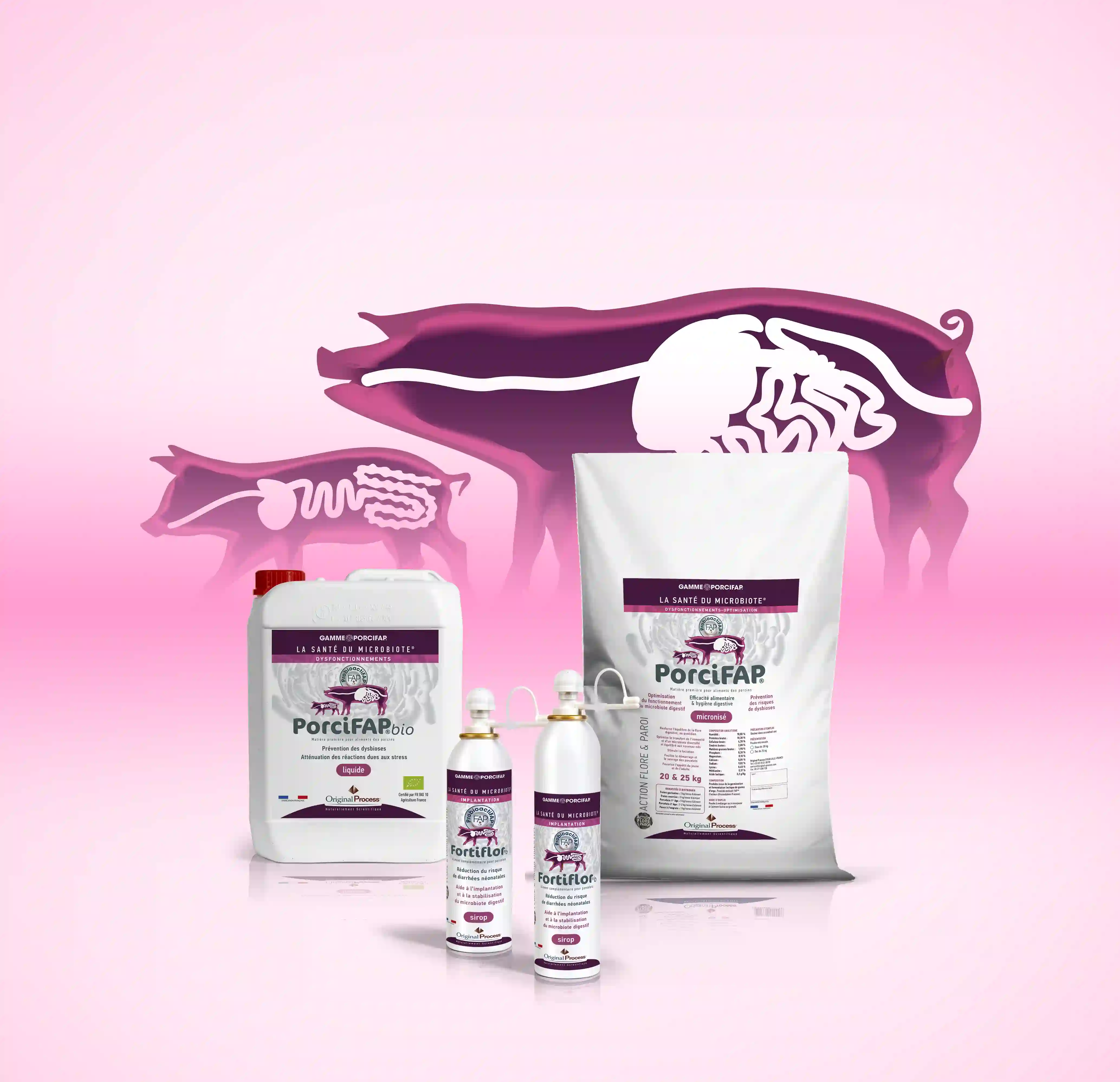 Produits PorciFAP avec illustration du système digestif microbiote du porc adulte et porcelet