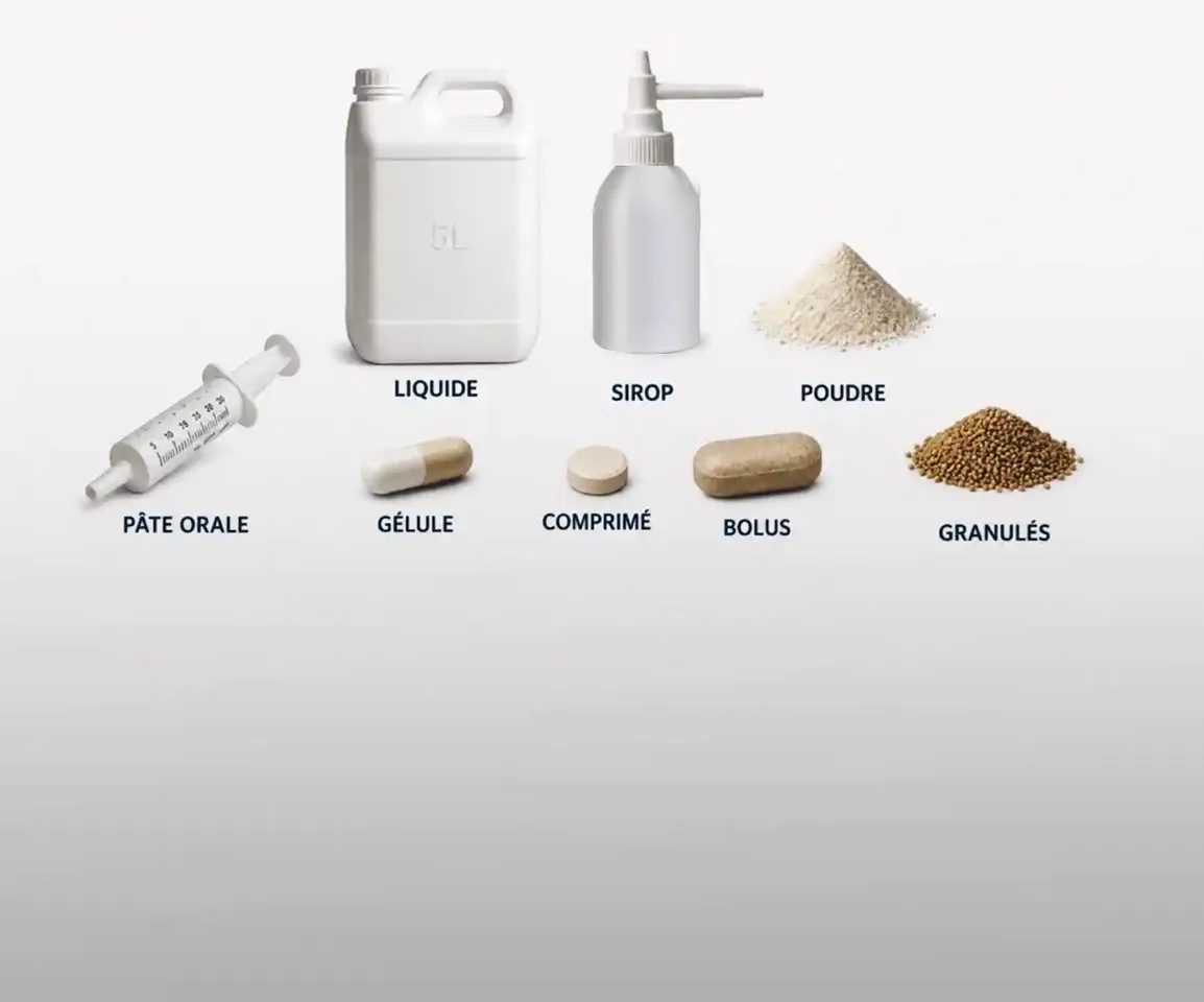 Différentes formes galéniques médicamenteuses : liquide, sirop, poudre, pâte orale, gélule, comprimé, bolus, granulés.