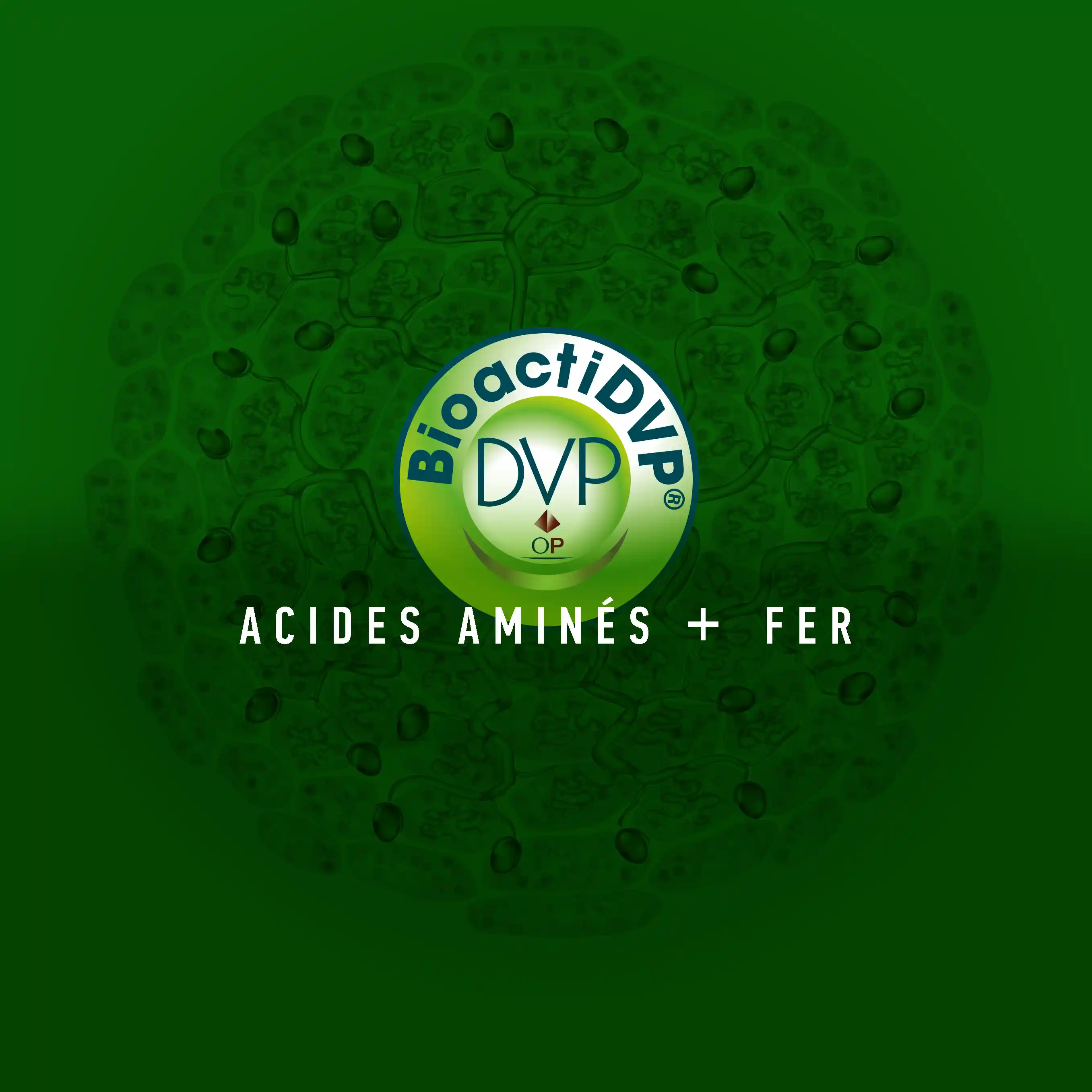 Logo BioactiDVP sur fond vert avec texte Acides aminés plus fer au centre.