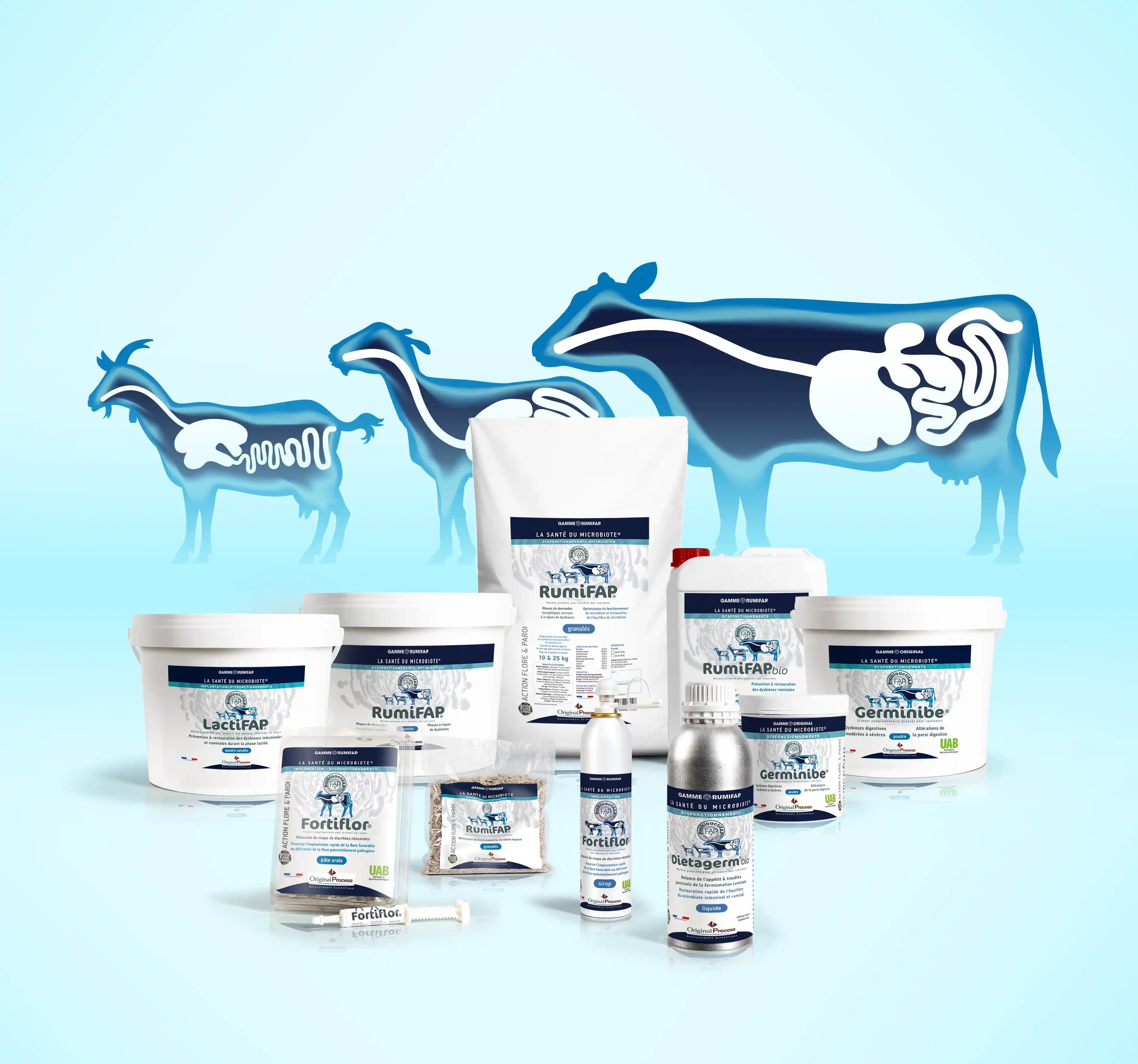 Produits pour la santé du microbiote chez ruminants avec illustrations du système digestif de trois animaux RUMIFAP