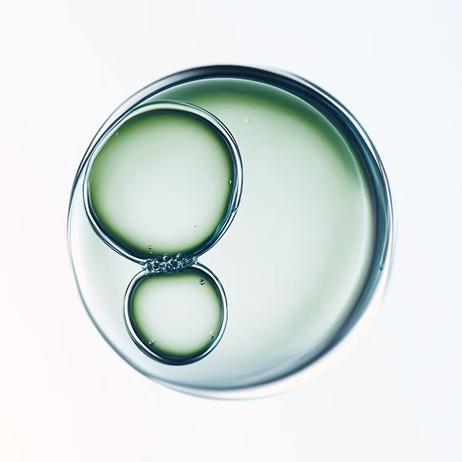 Close-up of two greenish transparent liquid droplets forming inside a larger circular droplet.