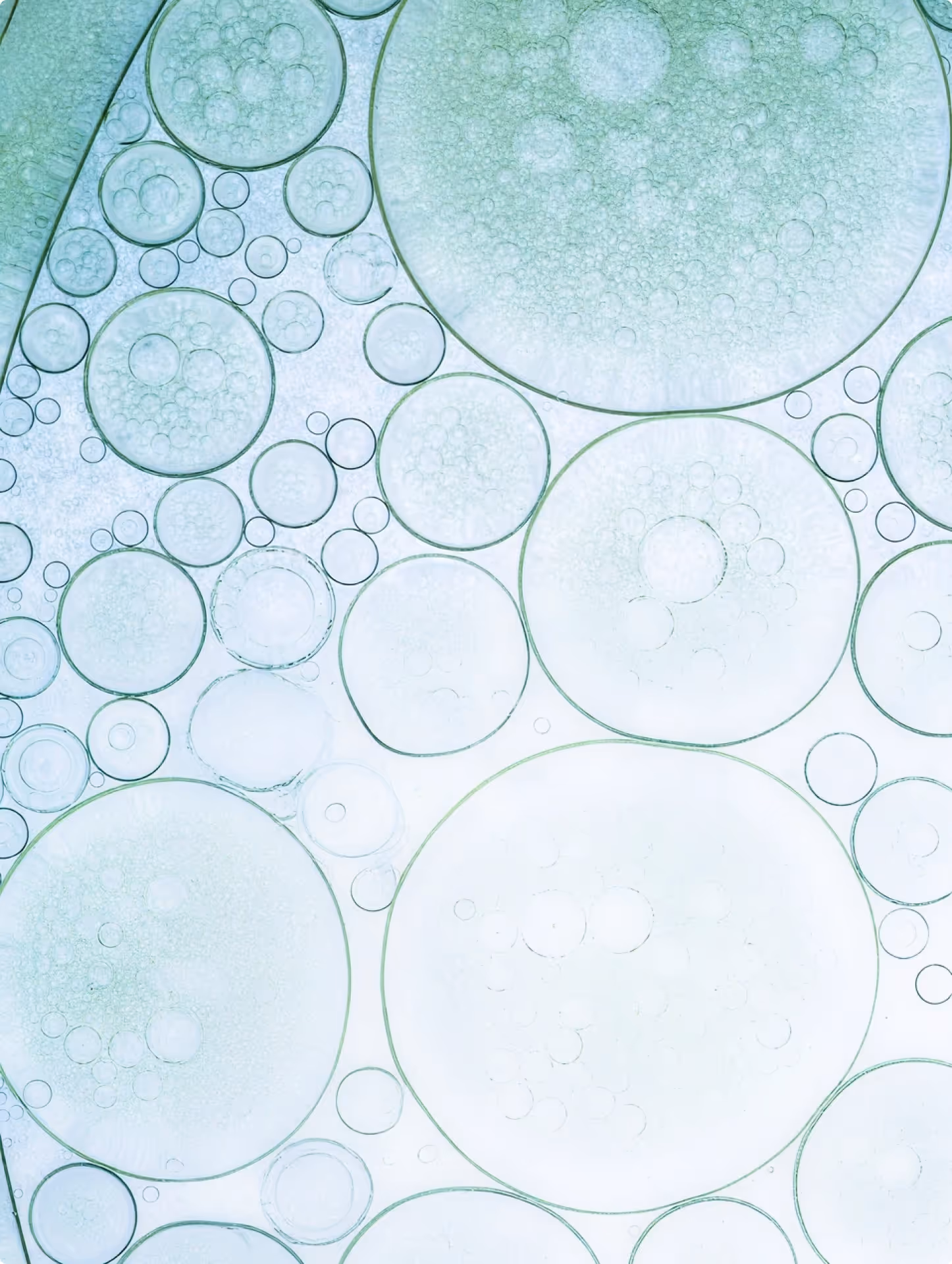 Close-up of translucent bubbles of various sizes clustered together on a light background.