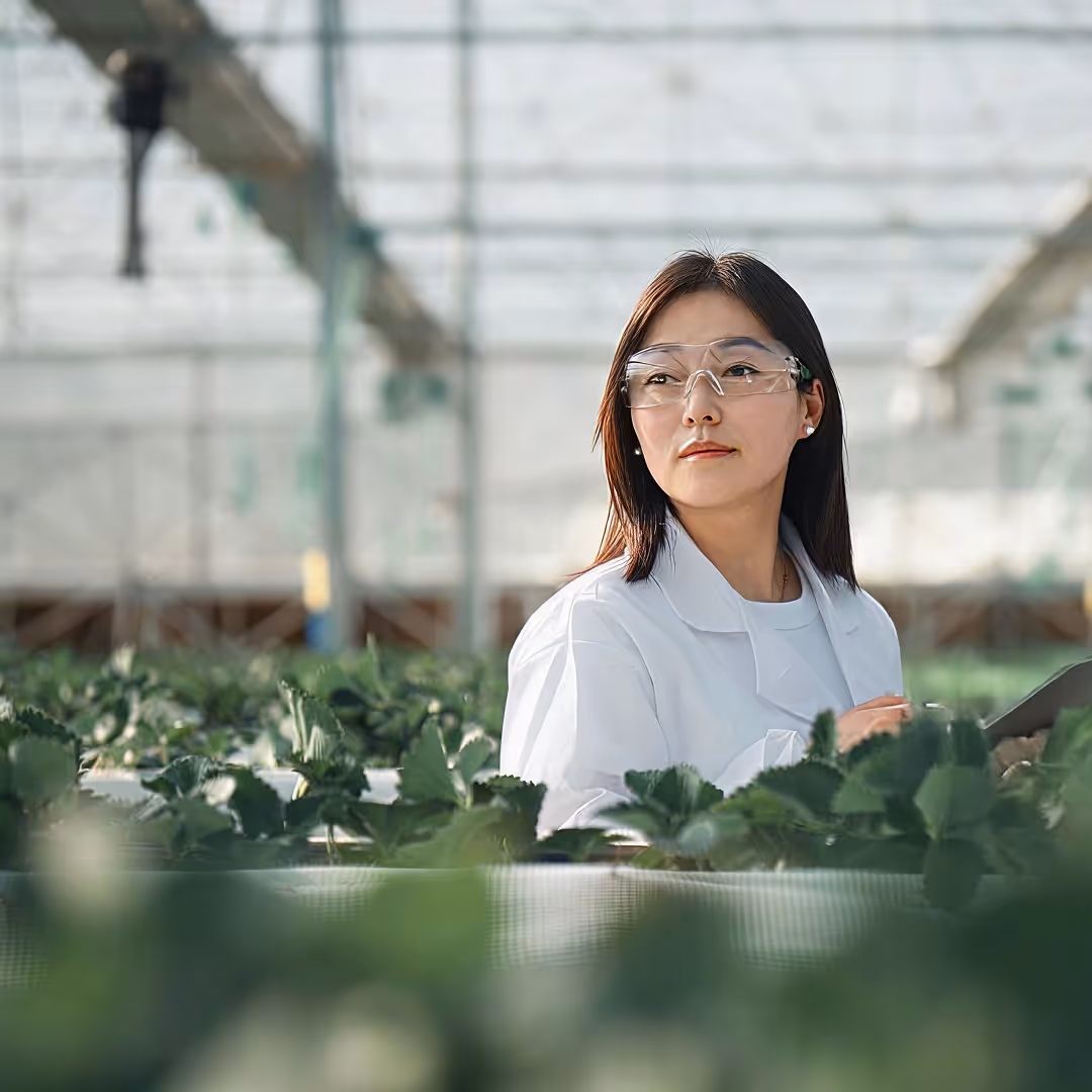 Woman in white lab coat and safety glasses inspecting plants inside a greenhouse.