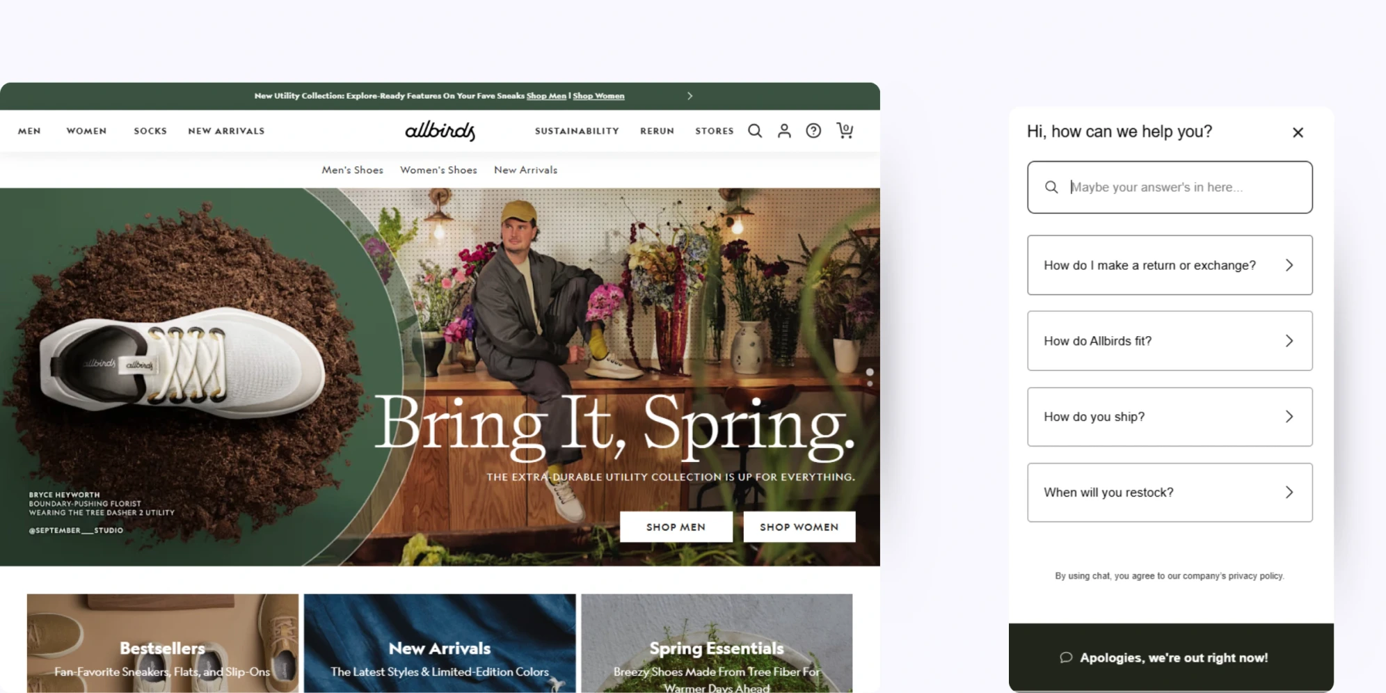 home page of Allbirds