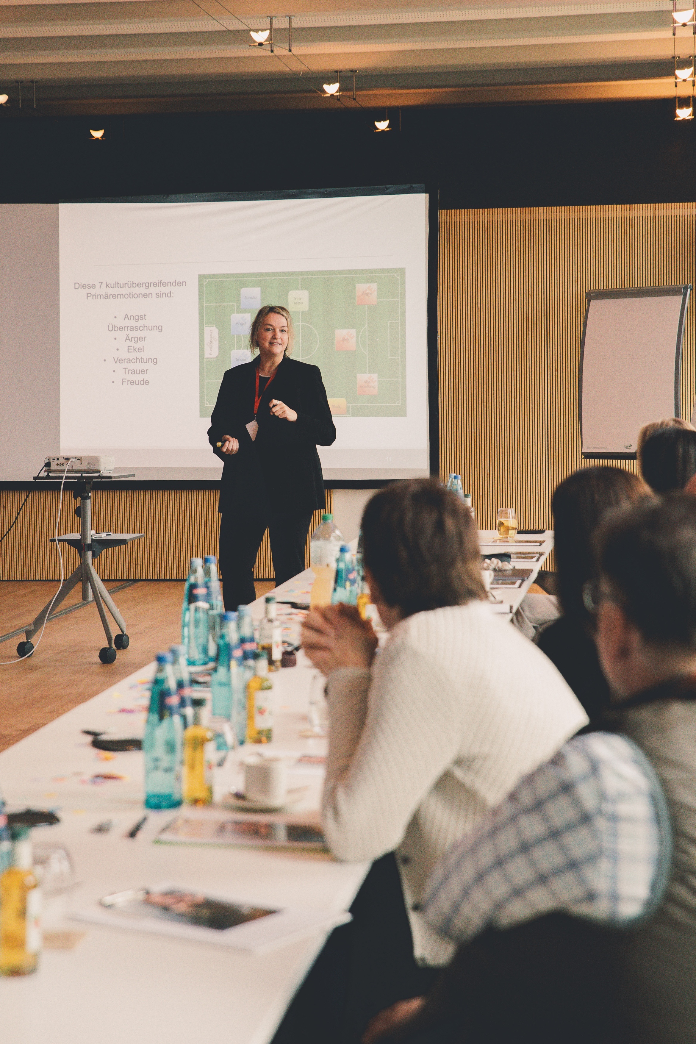 image of a concert crowd