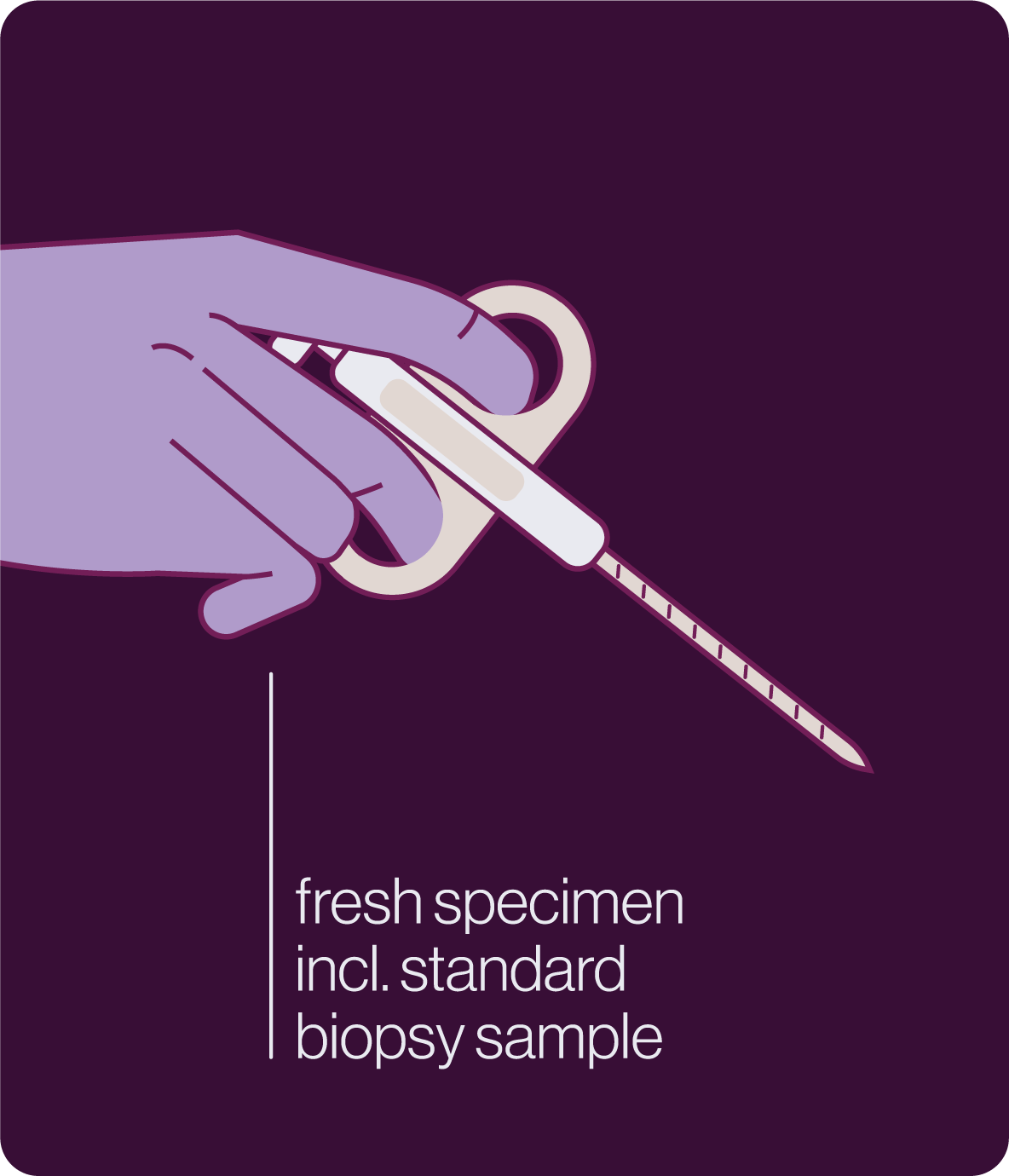 Illustration of a purple-gloved hand holding a biopsy needle with text reading 'fresh specimen incl. standard biopsy sample' on a dark purple background.