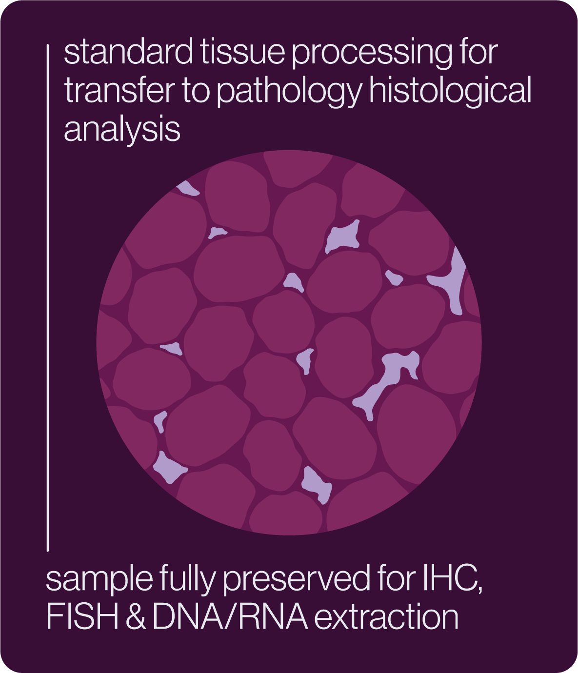 Illustration of tissue cells highlighting standard tissue processing for pathology and preservation for IHC, FISH, and DNA/RNA extraction.