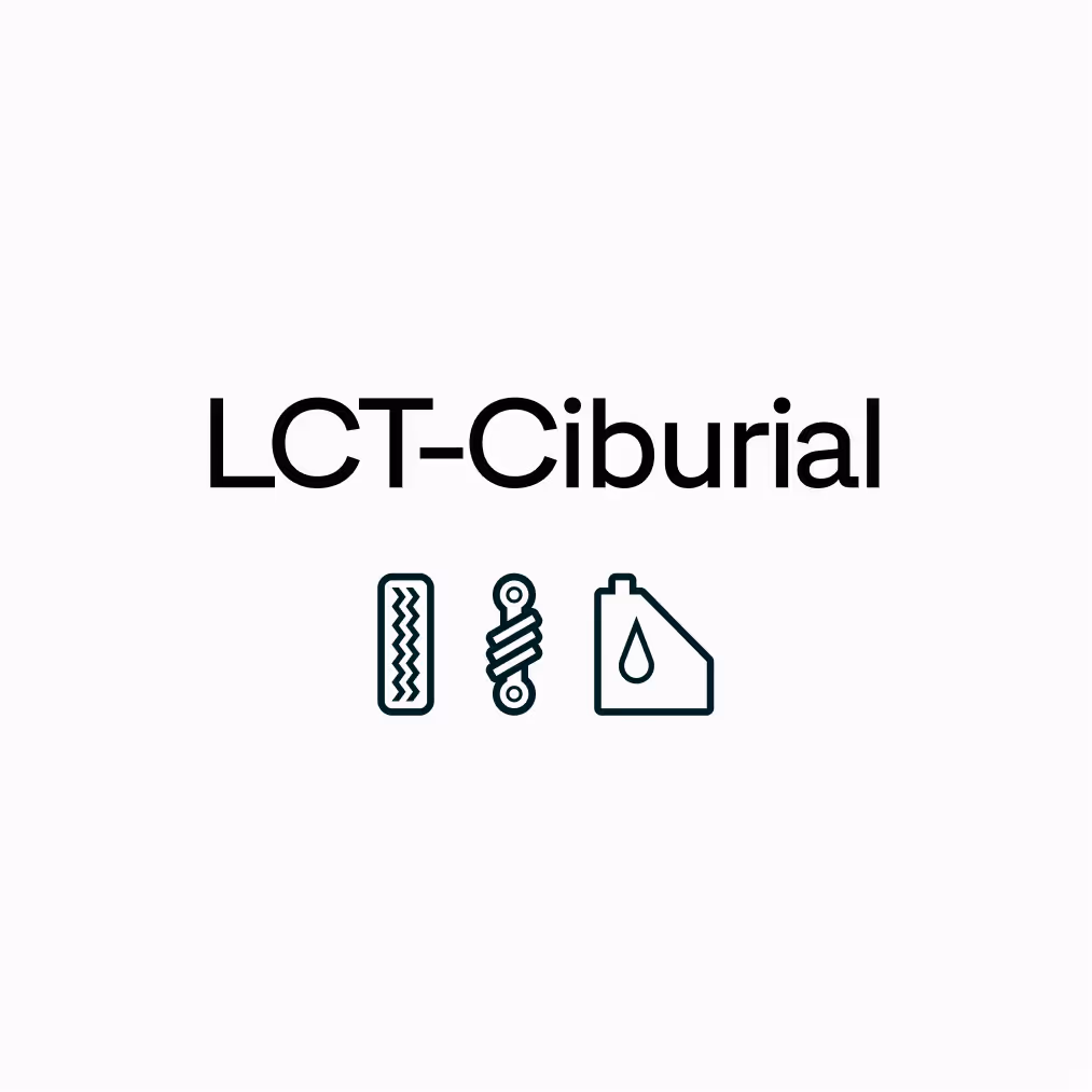 Custom pictograms for Auto-Części shown together with the LCT-Ciburial typeface