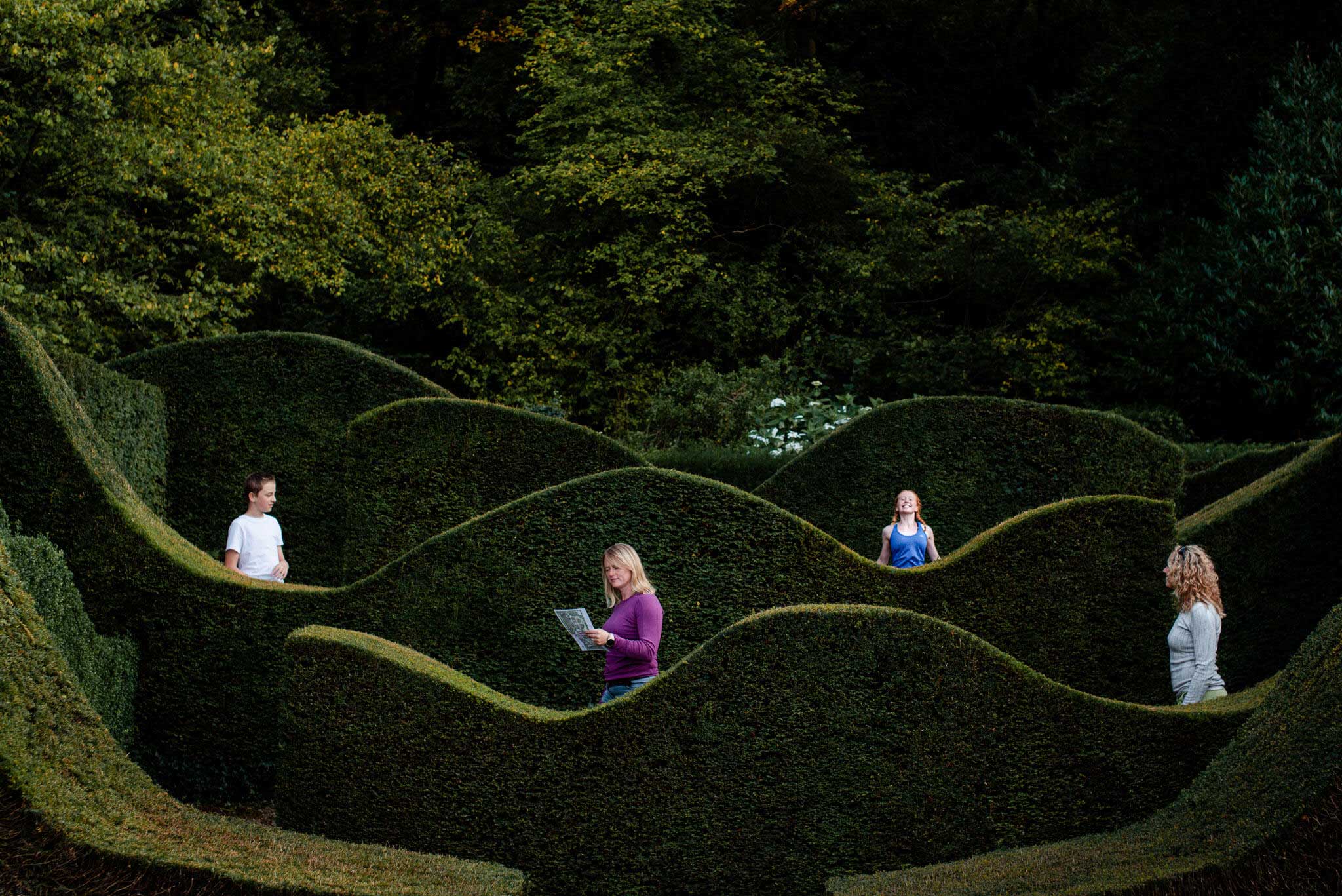 Four people navigating a green hedge maze with curving walls and dense trees in the background.