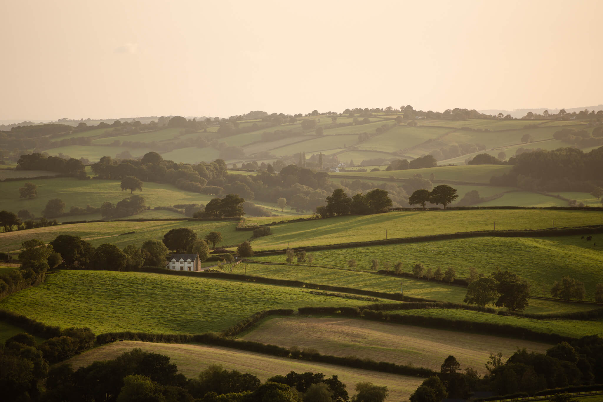 Rolling green hills divided by hedgerows with a white house nestled among trees under warm sunlight.