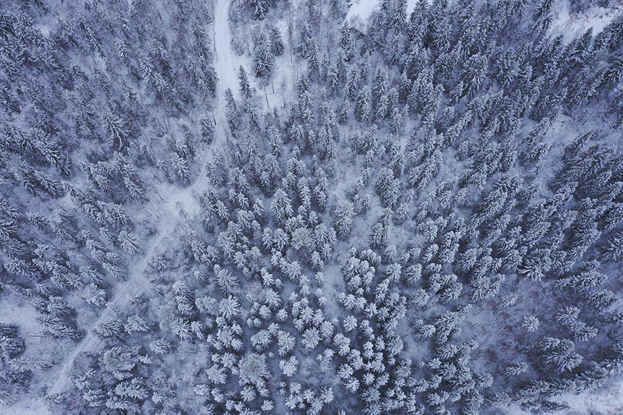 Project Details Small Image 1