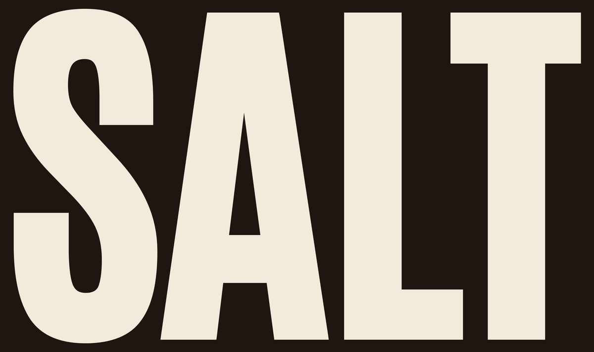SALT logo