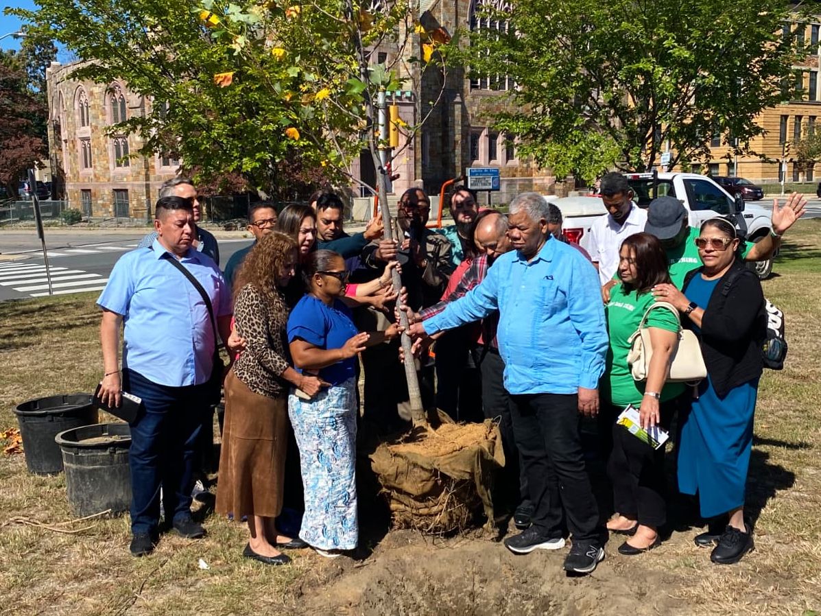 Tree planting at Campagnone Common in Lawrence, September 12
