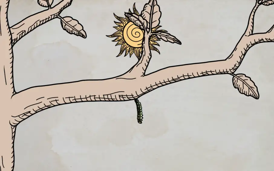 The thumbnail for my Moving Metamorphosis Illustration case study on desktop.