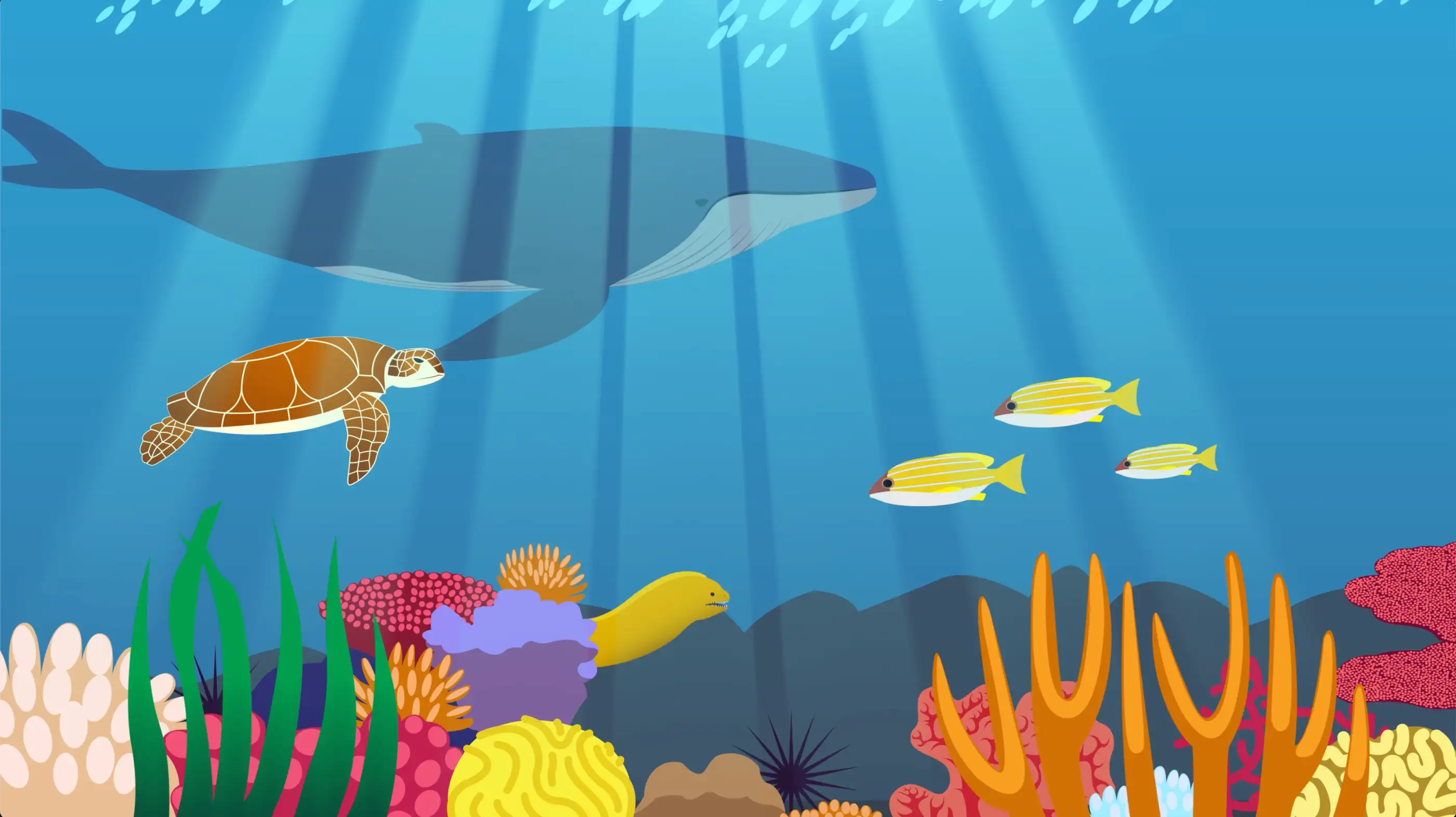 The image to showcase the final result for my Layers of Ocean Life case study on desktop.