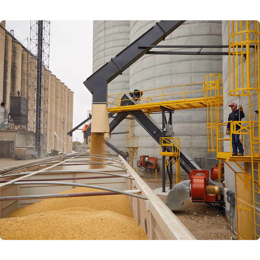 Grain being unloaded at a commercial grain elevator with storage silos