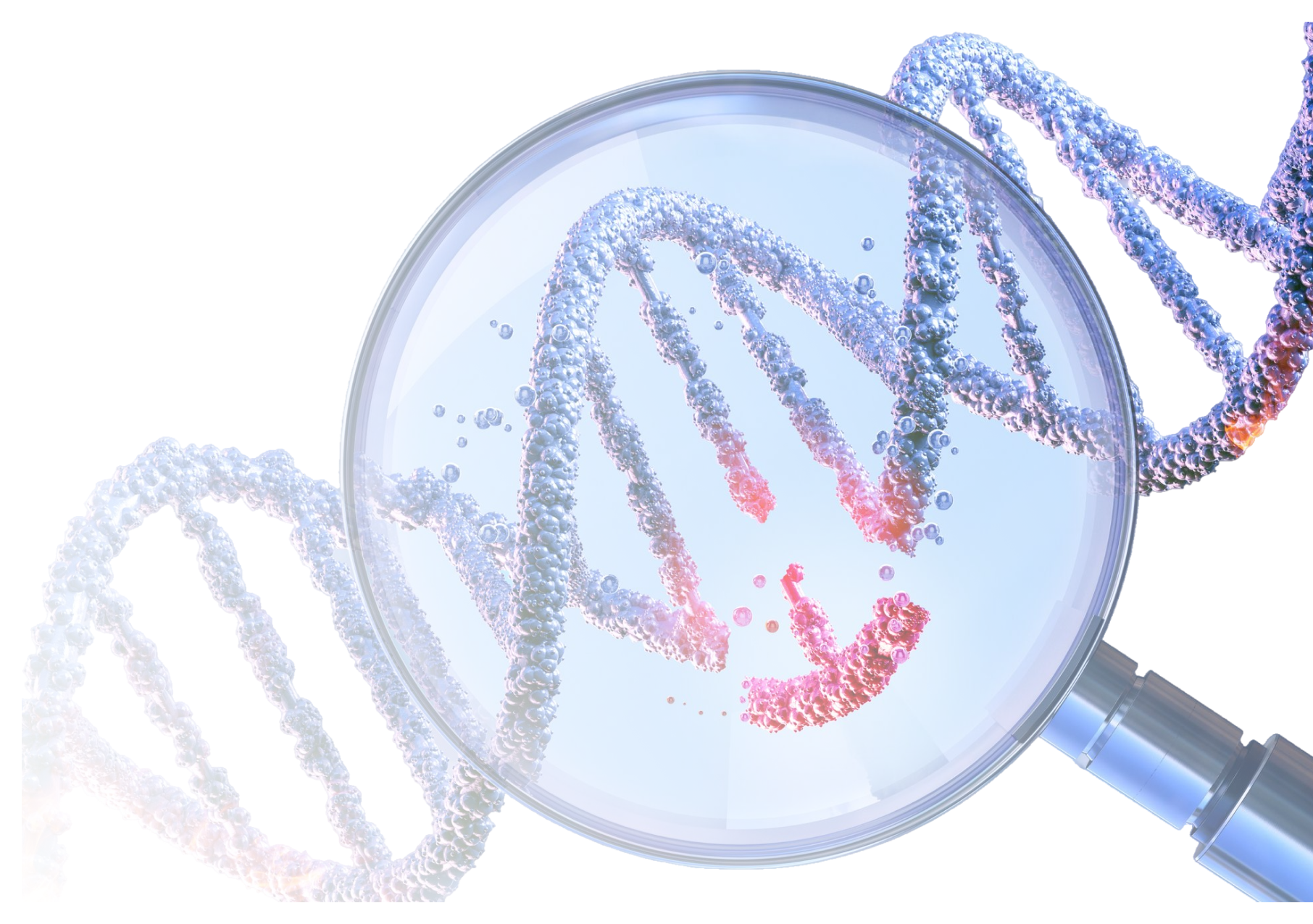Magnifying glass highlighting a damaged section of a DNA double helix strand with bubbles around it.
