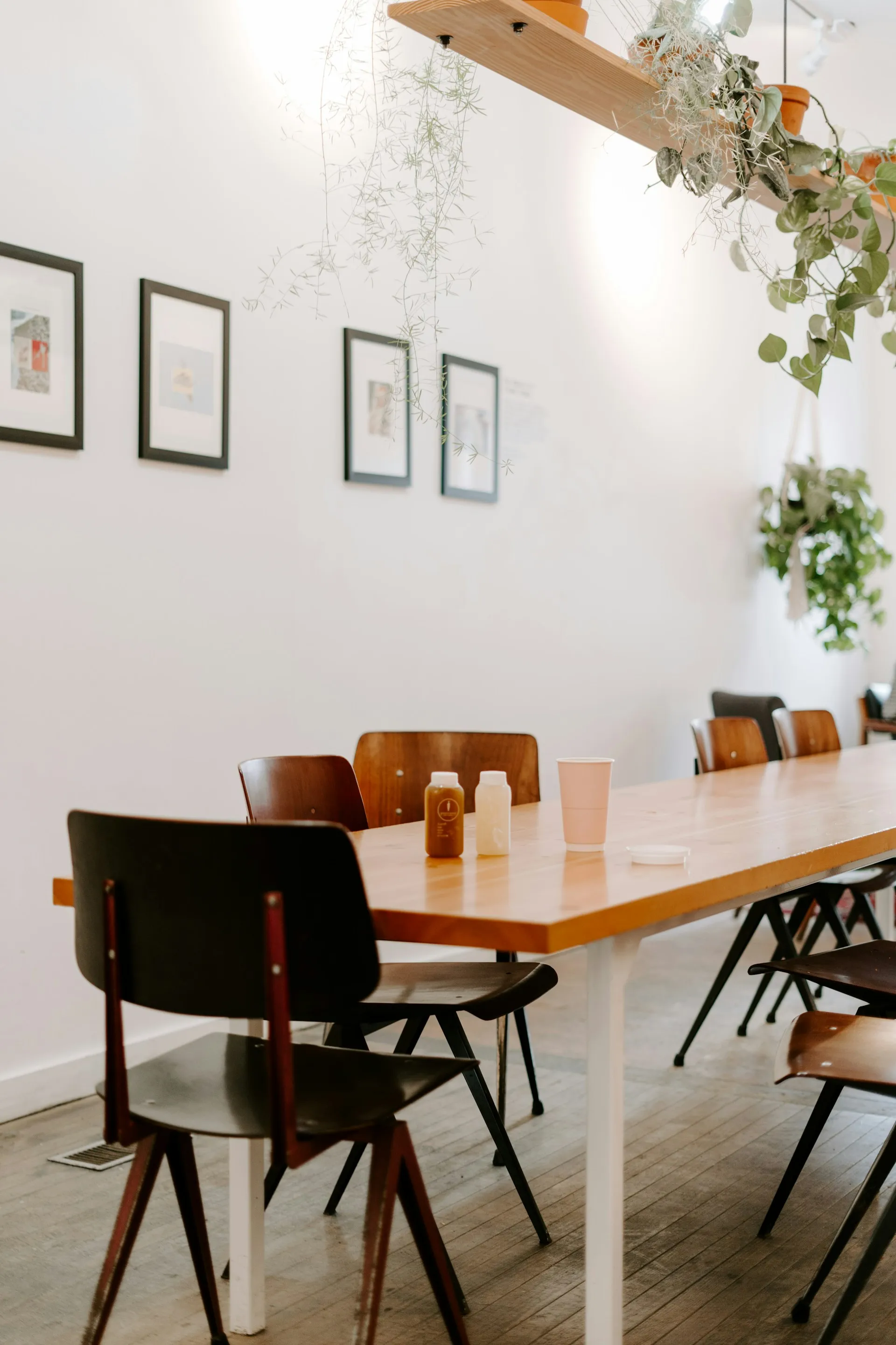 A dining room table with chairs and a plant hanging from the ceiling.