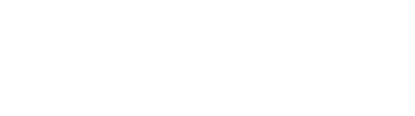 Octiga Logo