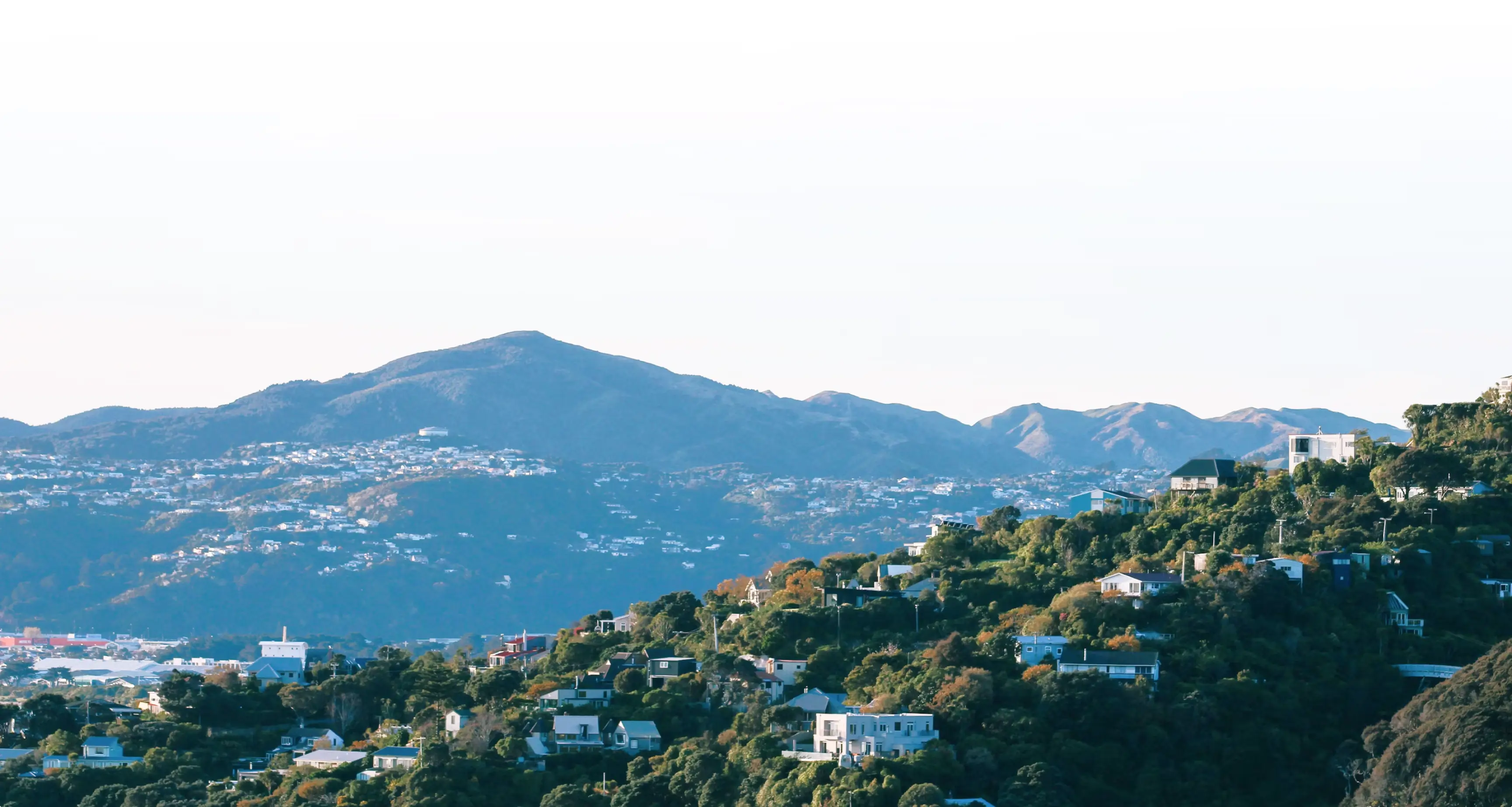 Hills covered with green trees and scattered houses under a clear sky with distant mountain range in the background.