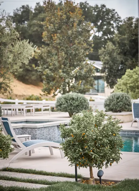 Backyard pool area with a small orange tree in the foreground, lounge chairs, and surrounding greenery.