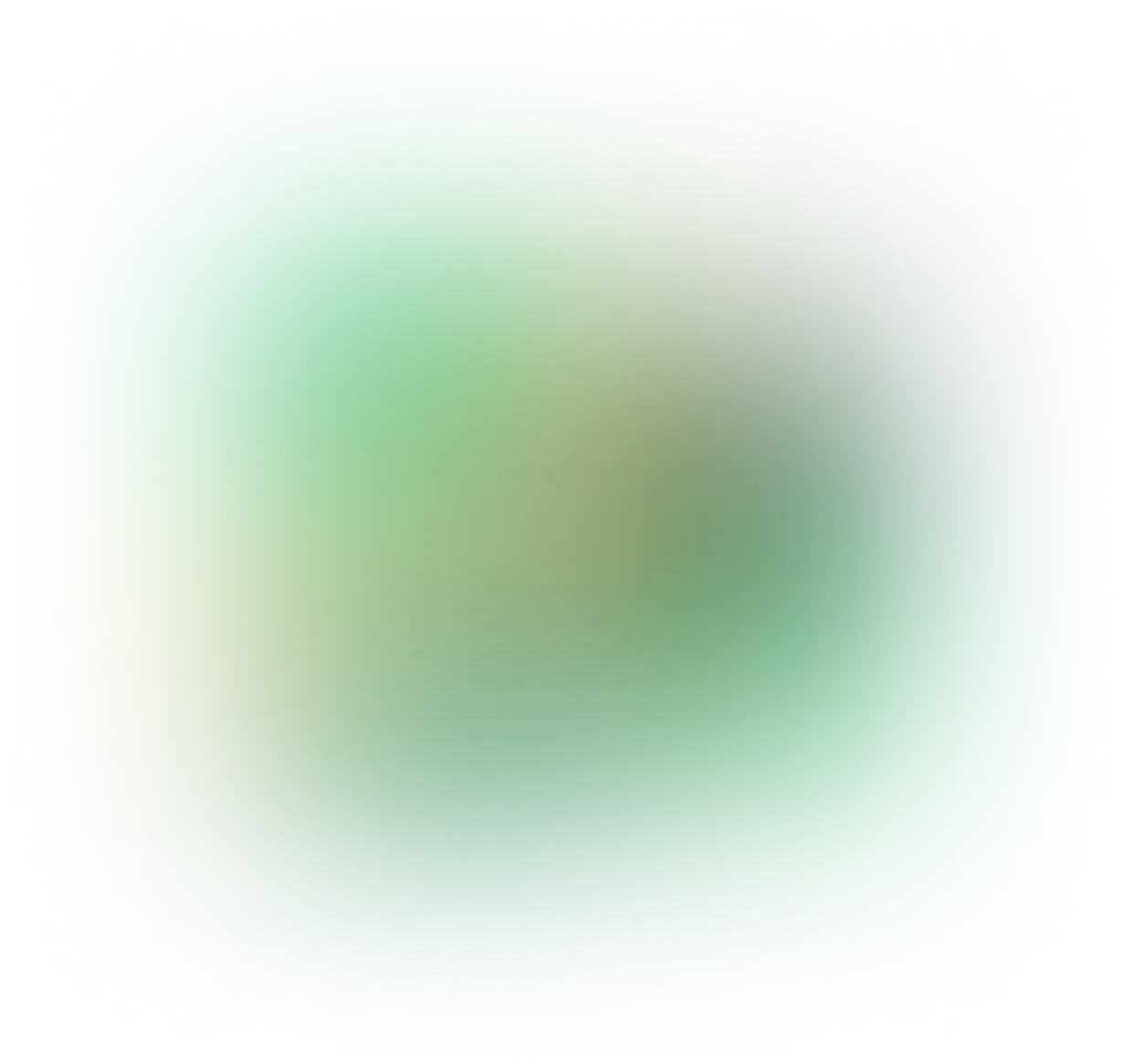 A blurry green background with a white border.