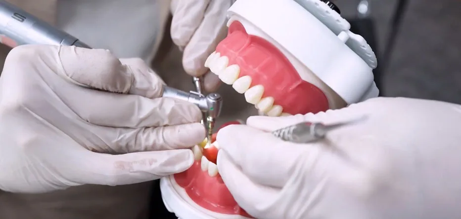 Dental-card-image