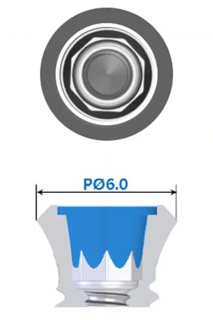 SS Implant