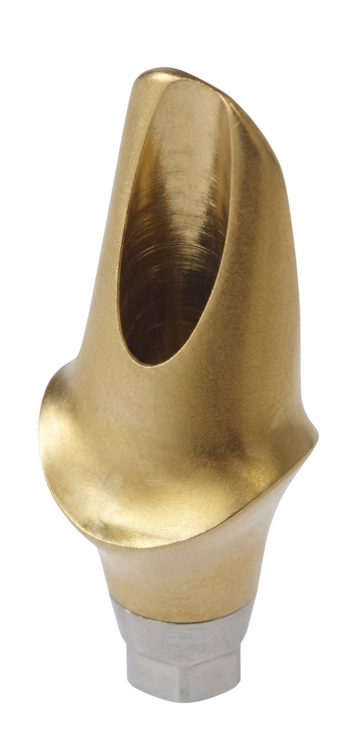 OneFit Abutment