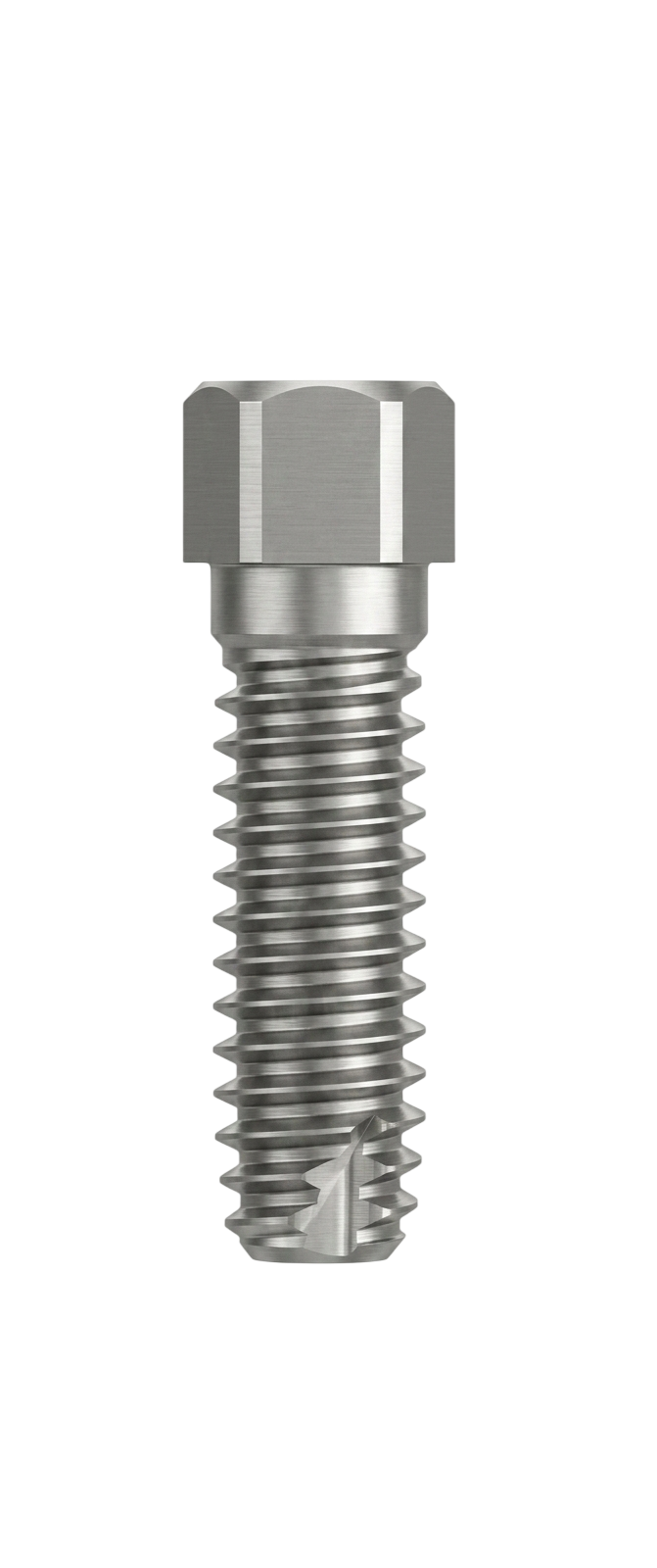 SS Link Abutment for Public