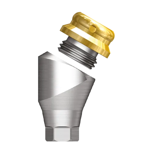Port Angled Abutment