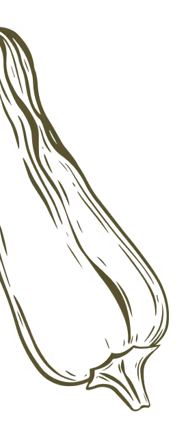 Simple line drawing of a green pepper with a stem on a transparent background.