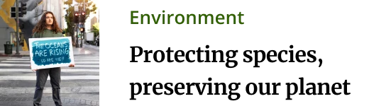 Nextpulsh-subscription-hero-card-image