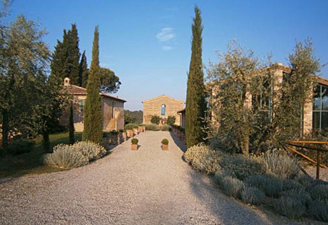 Long view down a wide, graveled main driveway flanked by low, silvery-green shrubs and two prominent Italian Cypress trees, leading toward a cluster of rustic stone buildings in a sunny, rural landscape.